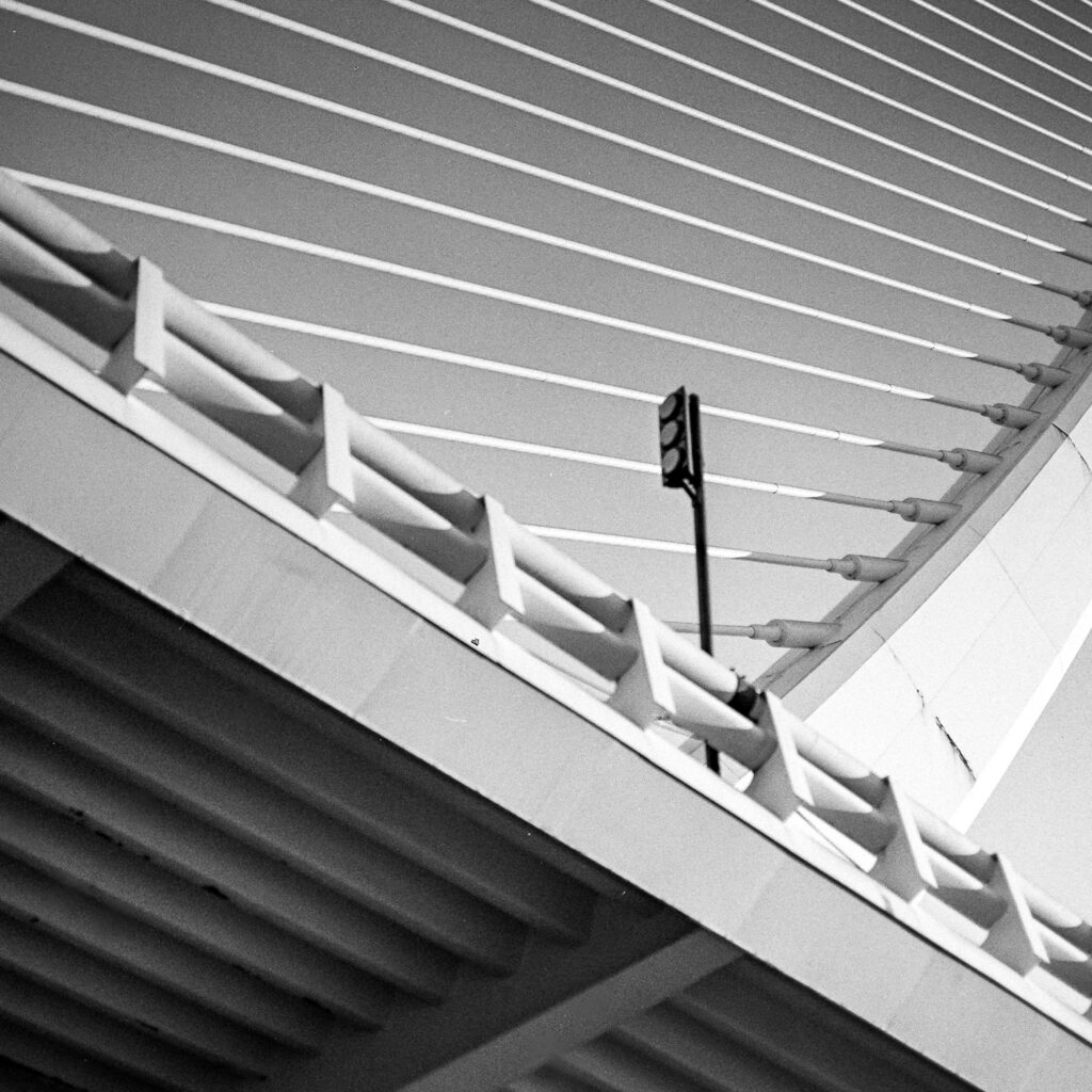 Ejemplo revelado y escaneado HP5 plus 120